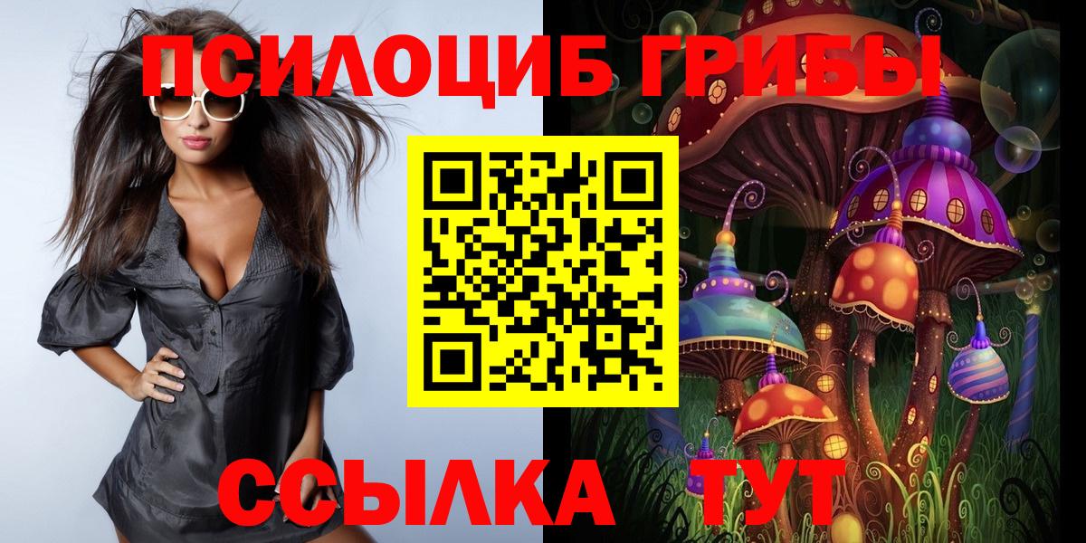 Псилоцибиновые грибы мицелий Курчатов